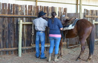 Horse riding