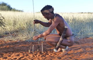 Bushman activity