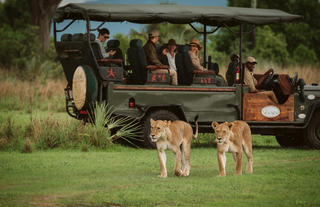 Game Drives