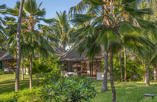 Grounds