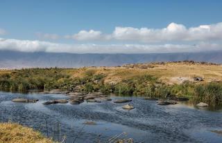 The Manor at Ngorongoro