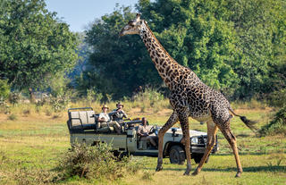 Luangwa Safari House