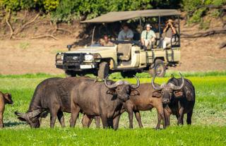 Luangwa Safari House
