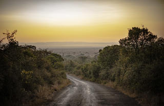 View of Nairobi National Park