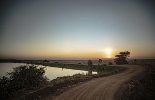 Nairobi National Park 