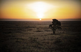 Nairobi National Park 