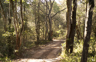 Driveway to Nairobi Tented Camp