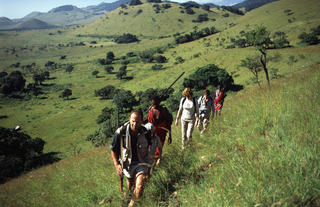 Ernest Hemingway's "Green Hills of Africa"