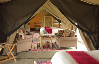 Asilia Ol Pejeta Bush Camp - Family Tent