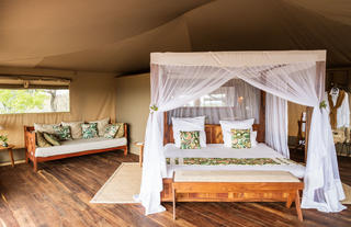 Tent