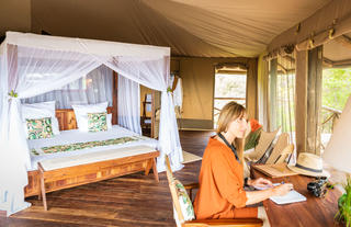 Tent