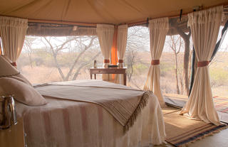 Elewana Lewa Safari Camp