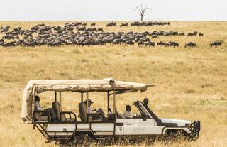 game drives in the state of the art open converted 4x4's