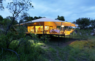 your dream Camp in the Serengeti