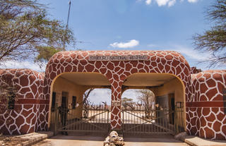 Elephant Bedroom Camp - Samburu