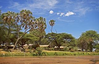 Elephant Bedroom Camp - Samburu