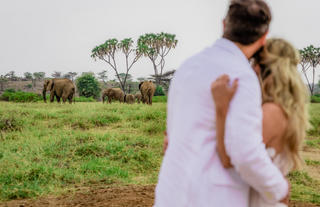 Elephant Bedroom Camp - Samburu