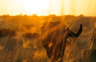 Emboo Wilderness Drives