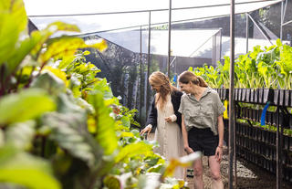 Emboo's Vertical Gardens