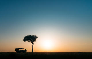 Emboo Sunsrise in the Wild