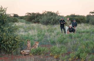 Immersive bush walks
