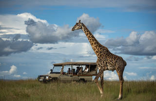 Game Drive