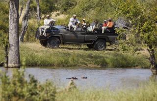 Family on Safari