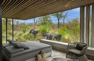 Karula Suite Four