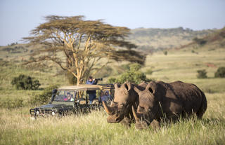 Discover one of the world's most renowned Rhino Sanctuaries