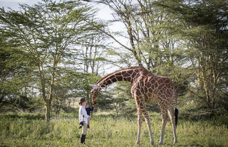 Nditu the resident giraffe at Sirikoi
