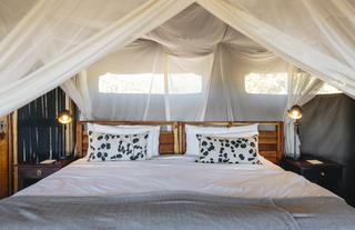 Linyanti Bush Camp