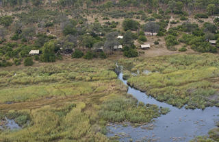 Linyanti Bush Camp 