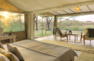 Kicheche Bush camp