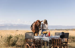 Picnic breakfast: with horses