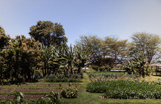 Our Farm - 'the shamba'