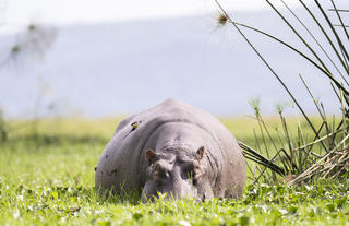 Governors' Loldia House