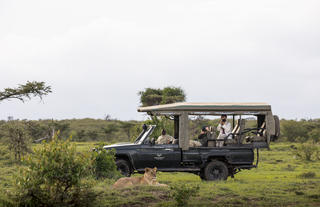Game drive experience