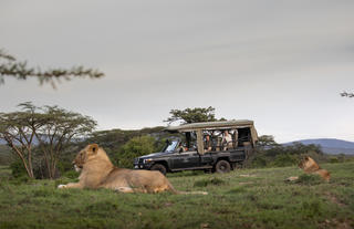 Game drive experience