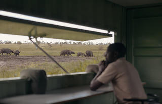 A view from Inside the Wildlife Hide