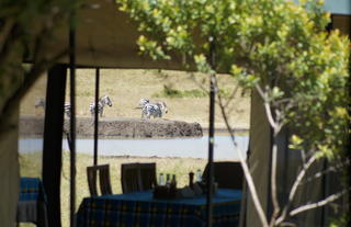 Porini Rhino Camp
