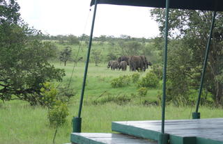 Porini Rhino Camp