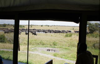 Porini Rhino Camp