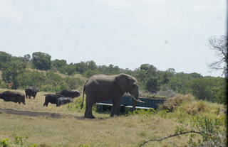 Porini Rhino Camp
