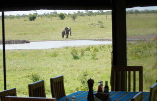 Porini Rhino Camp