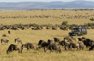 Rekero Camp - Wildebeest Migration