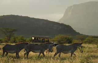 Saruni Samburu