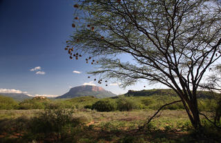 Saruni Samburu