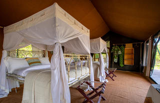 Tent Interior