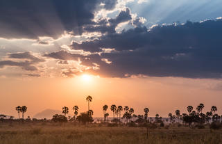 Sunset in Ruaha is tough to beat