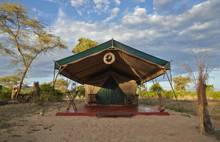 Mdonya's Tent